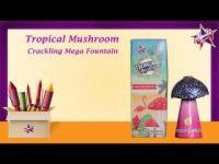 Tropical Mushroom
